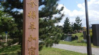 新緑がきれいだ