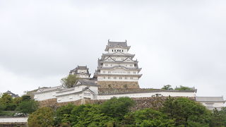 本丸だけでなく、広大な敷地にお城が広がっています。