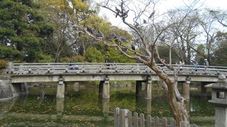 九條池にかかる橋です