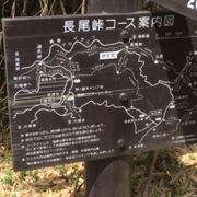 なかなか本格的な峠