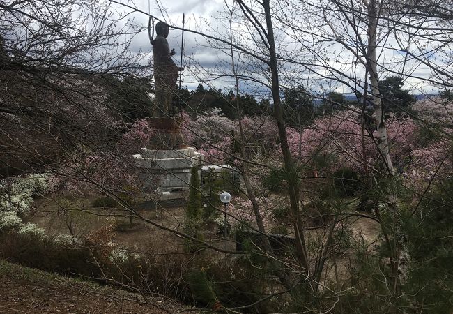 桜が満開でした。