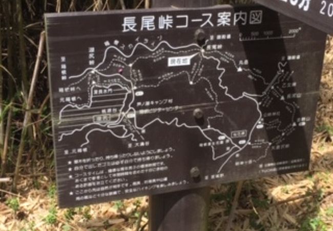 なかなか本格的な峠