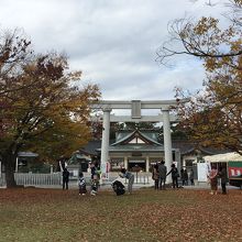 七五三 By とびまる 広島護国神社のクチコミ フォートラベル 七五三 By とびまる 広島護国神社のクチコミ フォートラベル
