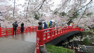 花筏がきれいでした