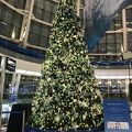 羽田空港のクリスマス☆*。