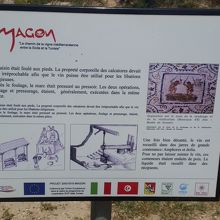 magonの説明