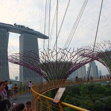 マリーナベイサンズ越しの景色