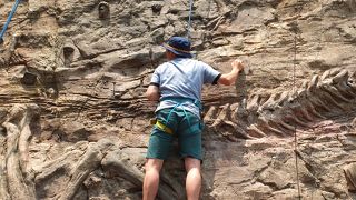 一回り小さいUSS