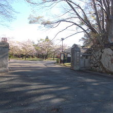 公園の様子です。