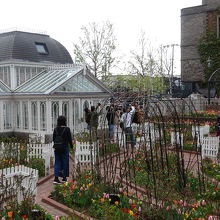 花がもっと咲けばこの庭園はキレイにみちがえりますね☆