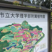 のんびり過ごせます 大阪市立大植物園