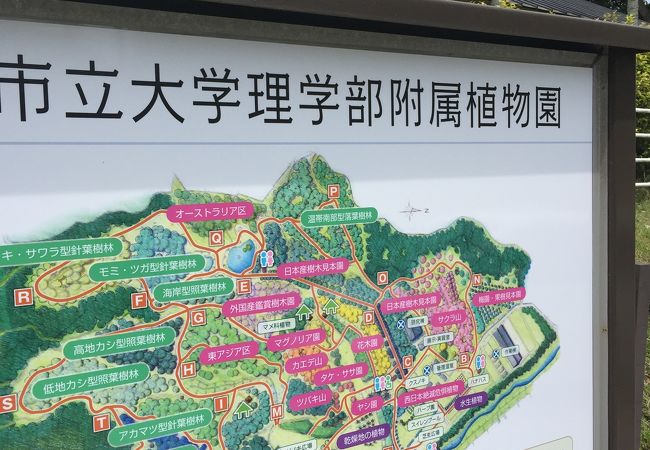 大阪市立大学理学部附属植物園 クチコミ アクセス 営業時間 寝屋川 枚方 交野 フォートラベル