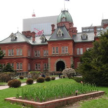 花壇のチューリップはまだ咲いてません。