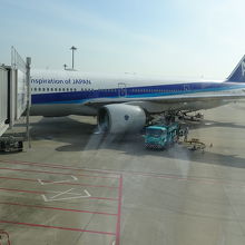 大きくて映りきらない！！