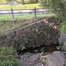 緑地の中を流れる川