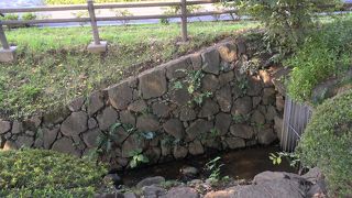 中央分離帯の散歩道