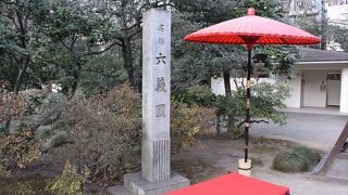 シダレザクラの大木が有名ですが2月最終週だったので梅が咲いてました！