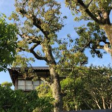 樹々に囲まれて