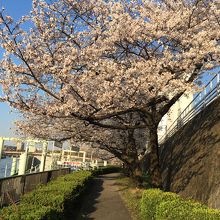 桜の季節になったらぜひいらしてみてください。