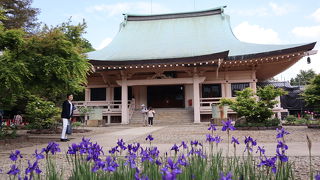 招き猫がいっぱい