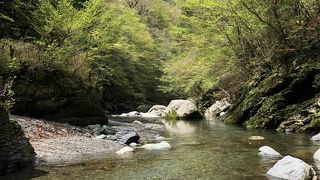 「男橋」「女橋」の二重かずら橋と人力ロープウェイの「野猿」