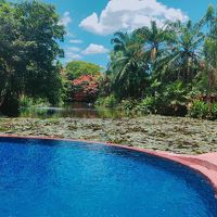 ラグーンと専用プール