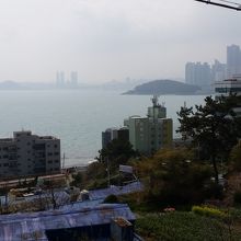 展望台からの眺め