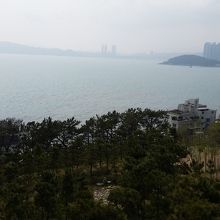 海と高層ビルが見える