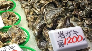 ランチを食べに