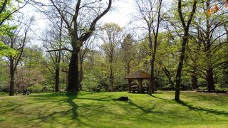 都会の真ん中に、こんな緑の場所が