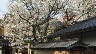 街の喧騒を離れて