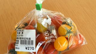 道の駅 庄和 でランチとショッピング