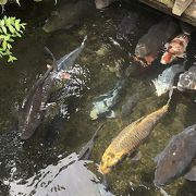 清流の町らしい小水路