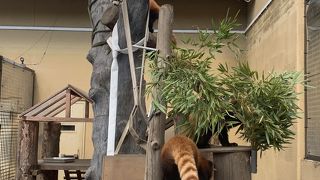 可愛い！飽きないです