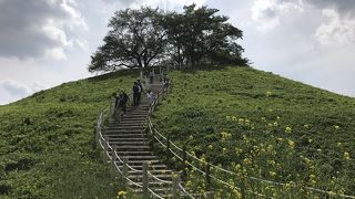 広い公園はピクニック気分で