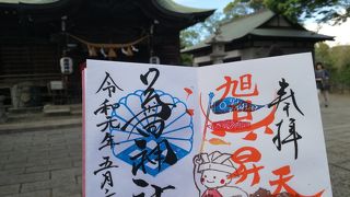 ぶさかわいい狛犬がいます！