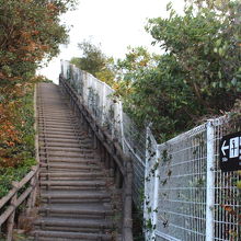展望台への階段