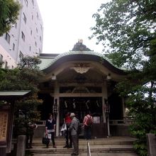 限定つながり住吉の猿江神社