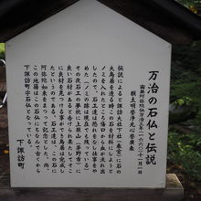 ノミの後はわかりません