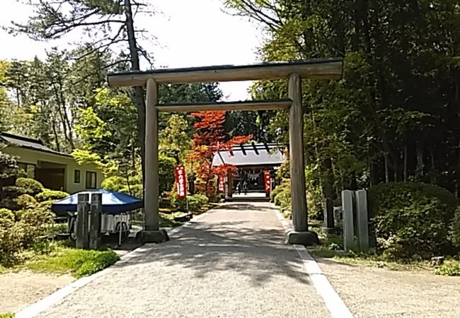 神明社 クチコミ アクセス 営業時間 白石 フォートラベル