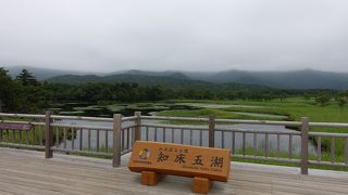 ヒグマ出没のため高架木道のほうへ