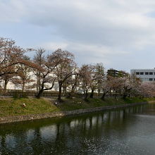 二の丸御殿場跡地