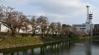 今は大きな公園のようになっています