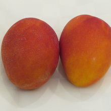 市場で買いました