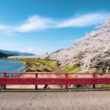 橋の上からも綺麗です