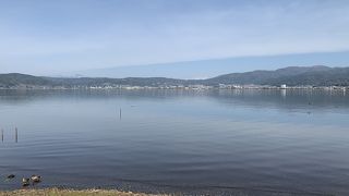 足湯やＳＬに鴨が歩いているのどかな公園