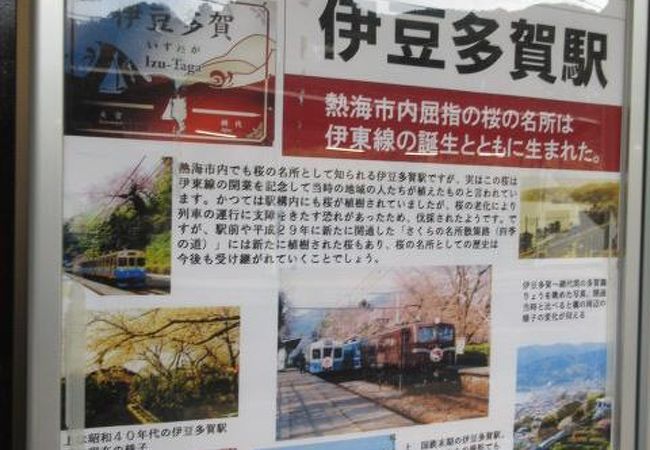 伊豆多賀 網代温泉のおすすめ観光スポット クチコミ人気ランキングtop17 フォートラベル 静岡県 伊豆多賀 網代温泉のおすすめ観光スポット クチコミ人気ランキングtop17 フォートラベル 静岡県