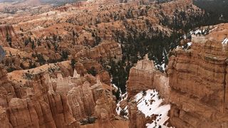 あいにくの曇り空でしたがとても綺麗でした
