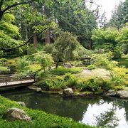 本格的な日本庭園