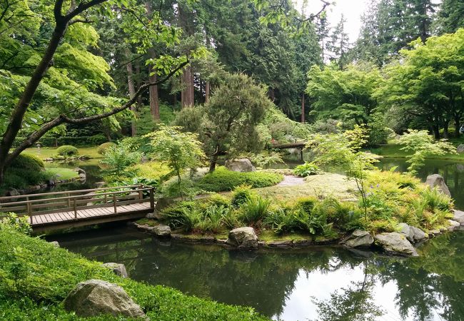 本格的な日本庭園